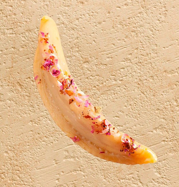 corne-de-gazelle-rose-de-damas