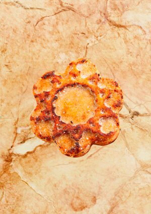 Gâteau andalou MÁLAGA aux figues, raisins secs et huile d’olive – Maison houry