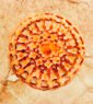 Gâteau andalou Granada aux agrumes et amandes – Maison houry, sablé artisanal moelleux