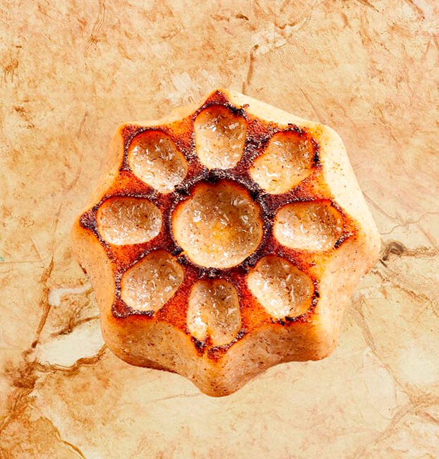 Moelleux andalou CÁDIZ au citron, miel et huile d’olive – Maison houry